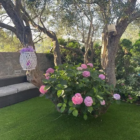 Villa Martina